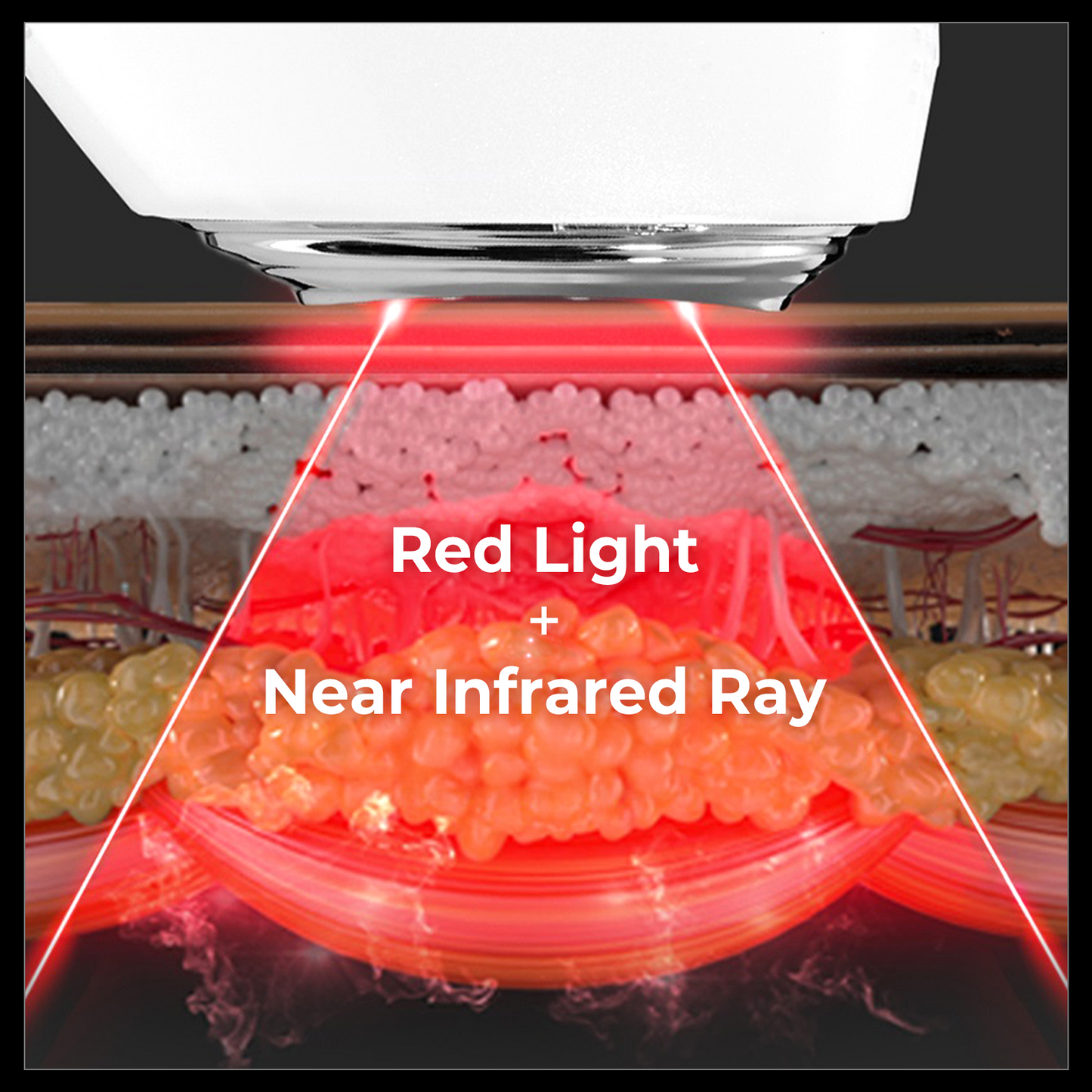 AALOK FITSERA - Precision LED Lifter